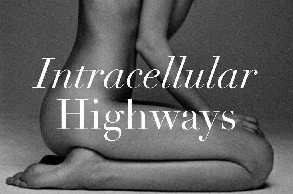 Intracellular Highways