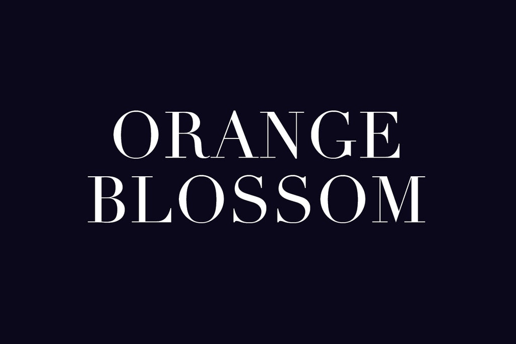 Plant Potential: Leanne Citrone - Ode to Orange Blossom