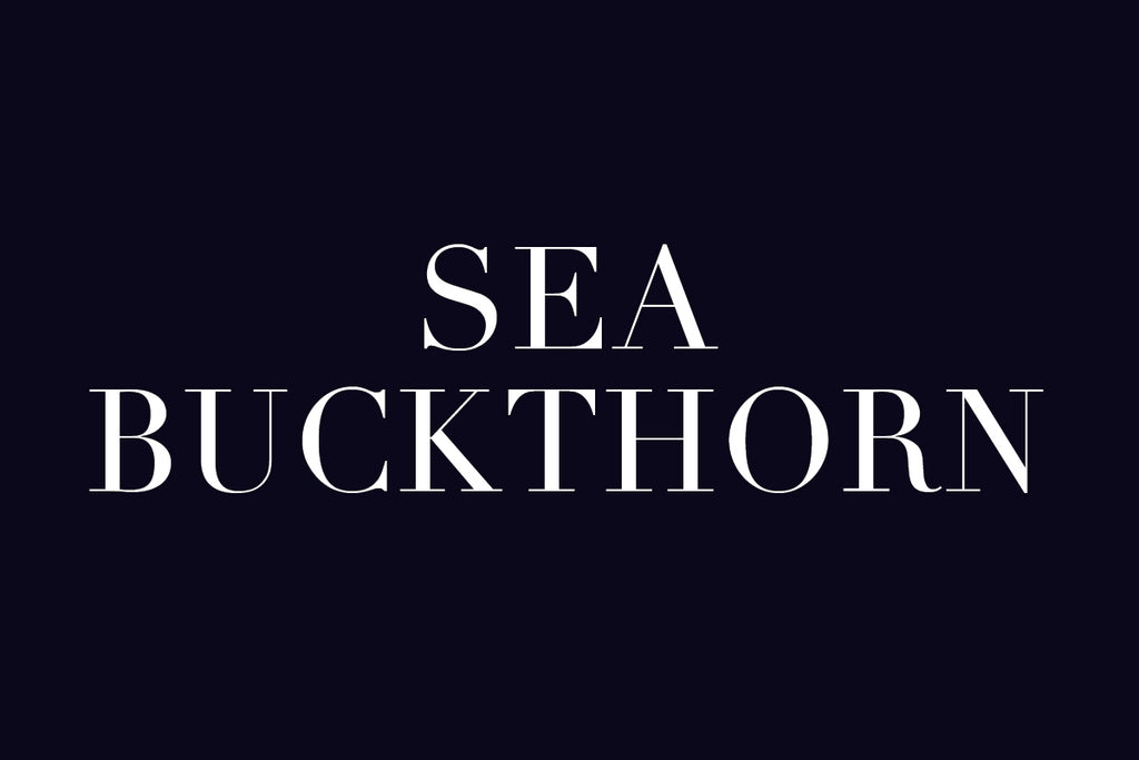 Plant Potential: Alison Attenborough - Sea Buckthorn Style