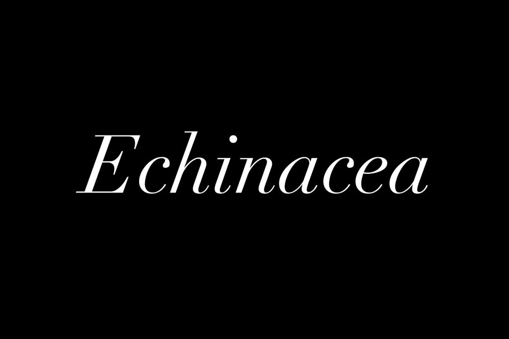 Lymphatic Lessons: Echinacea