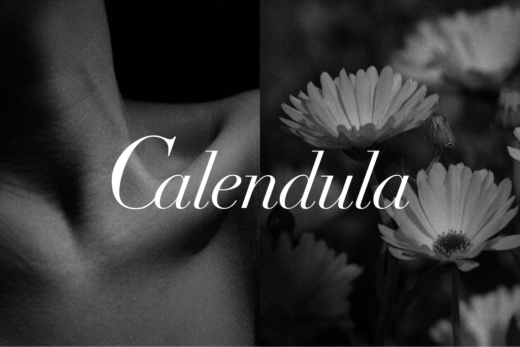 Calendula: A Multidimentional Perspective