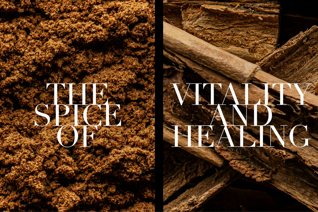 Cinnamon Zeylanicum: Where Warmth, Circulation, and Spirituality Meet