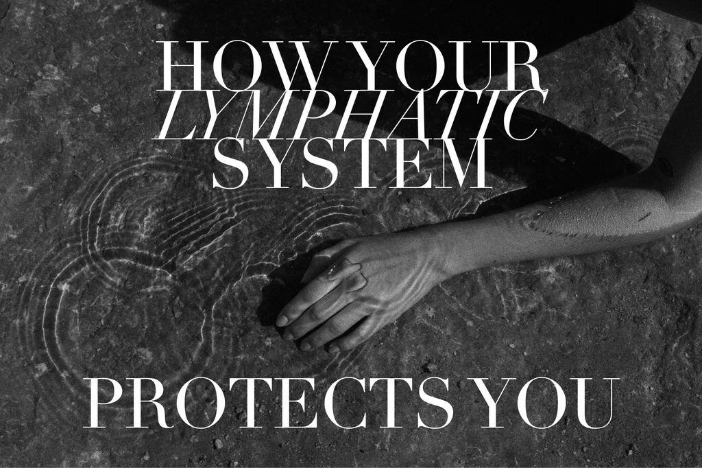 Enhancing Immunity Through Lymphatic Health