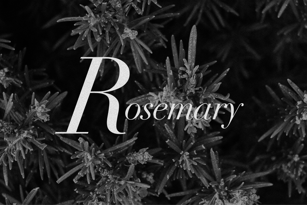 Rosemary Revealed
